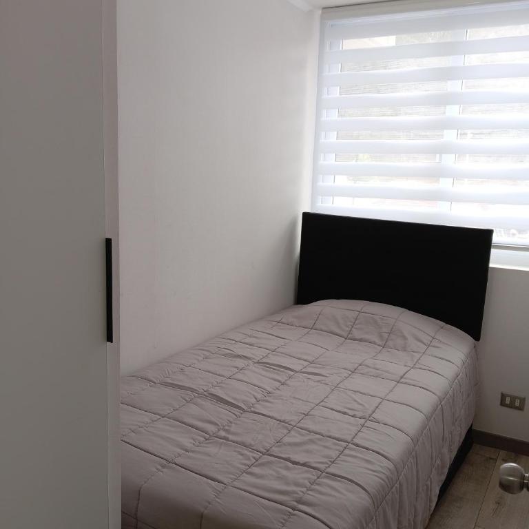 Impecable, cerca de todo - Three-Bedroom Apartment - 13
