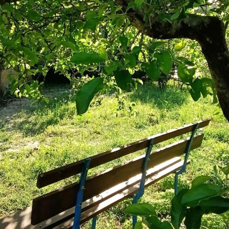 Casa la Quercia - Two-Bedroom House - 27