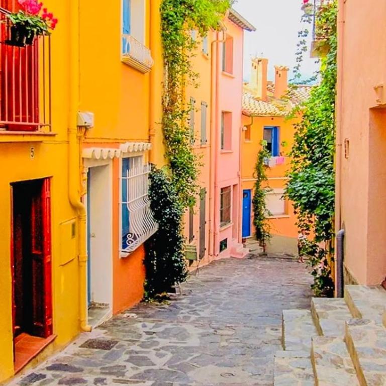 Studio Collioure vue Port & château lumineux-WIFI - Apartamento de 1 dormitorio - 9