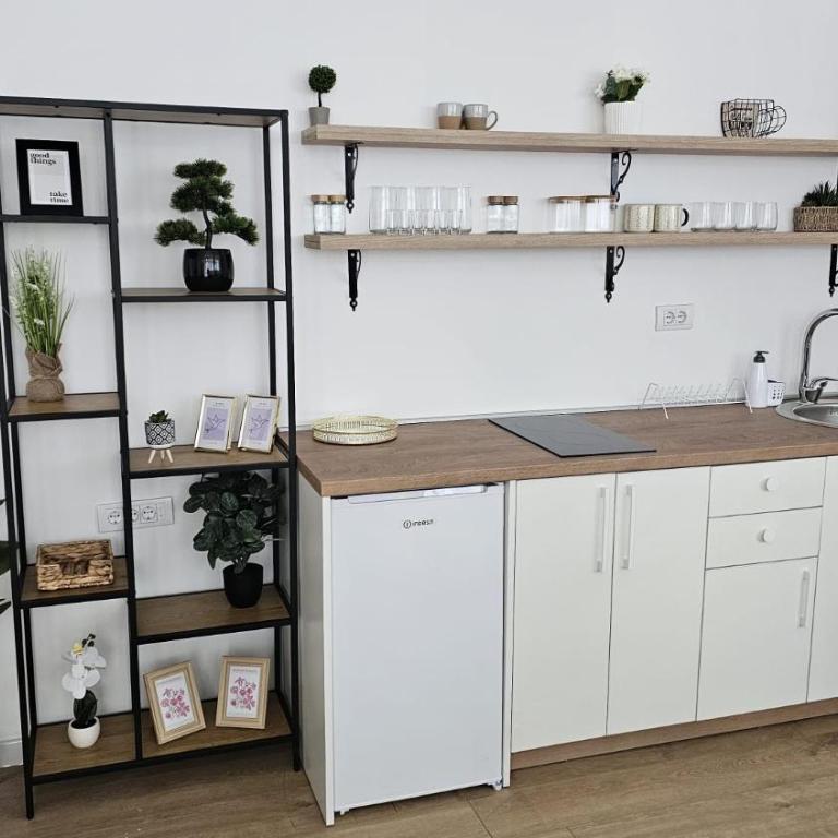 Stambena jedinica - One-Bedroom Apartment - 1