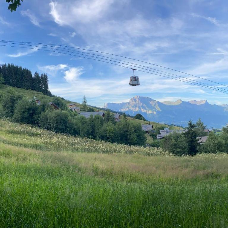 Chalet ski-in-out face au MontBlanc & Bain nordique - Chalet mit 2 Schlafzimmern - 13