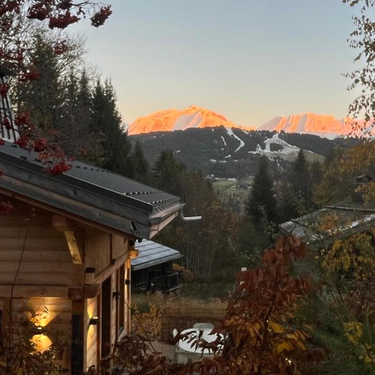 Chalet ski-in-out face au MontBlanc & Bain nordique - Chalet mit 2 Schlafzimmern - 15