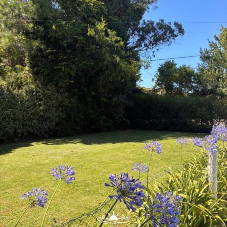 Cabañas Aires del Sur, con gran parque y pileta - Apartamento de 1 dormitorio - 3