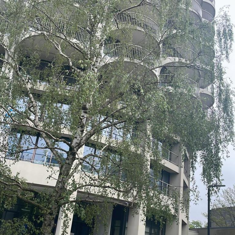 Business & Relax Skyline-View Wlan - One-Bedroom Apartment - 20