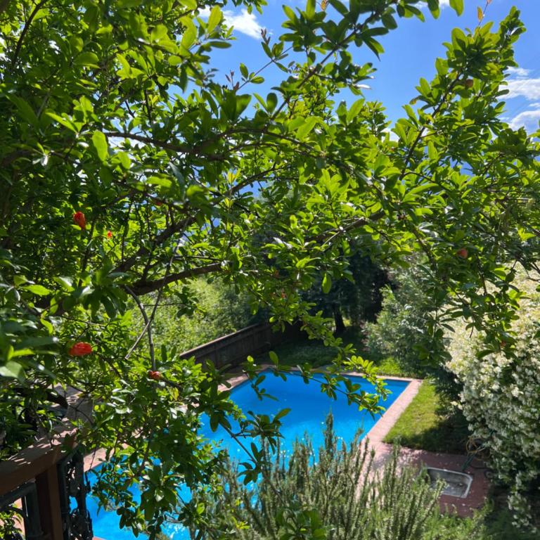 Weingut Eberlehof - Appartement 2 Chambres - 14