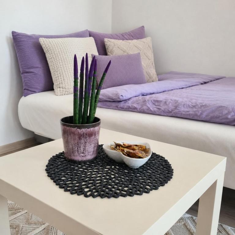 Studio apartment Sara - One-Bedroom Apartment - 1