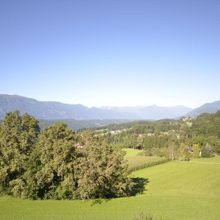 Ferienwohnungen M Cichini - Apartment mit 1 Schlafzimmer und Terrasse - 12