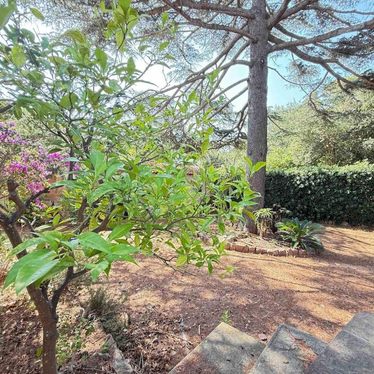 villa dolce mare - Villa - 32