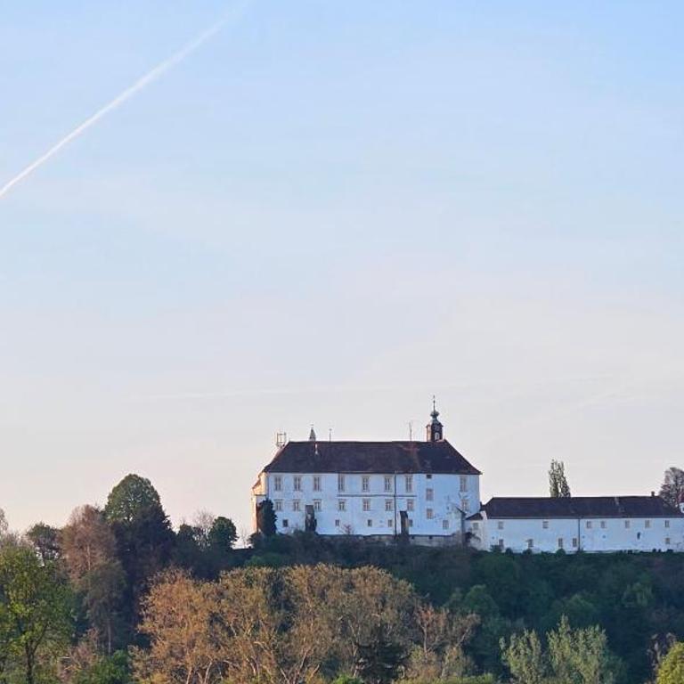 Schlossblick Bad Radkersburg - Penthouse - Apartment mit 2 Schlafzimmern - 2