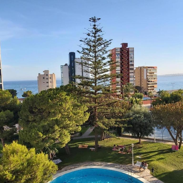Vistas Al Mar Albufereta - Superior Apartment with City View - 22