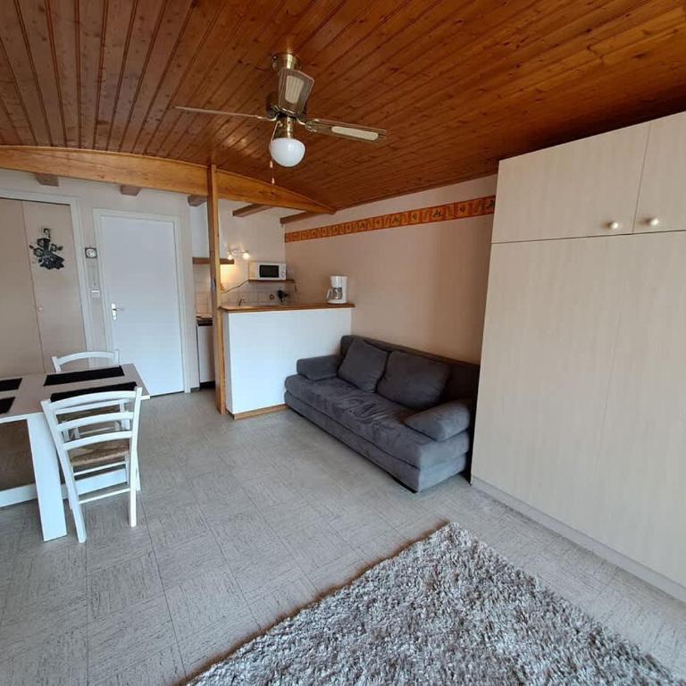 Studio rue pietonne - Apartment - 9