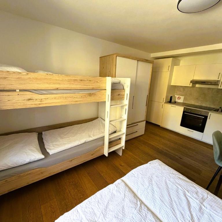 AREIT-BASE Apartment ' Zell am See ' Zwischen Berg & See - Apartment mit 1 Schlafzimmer - 2