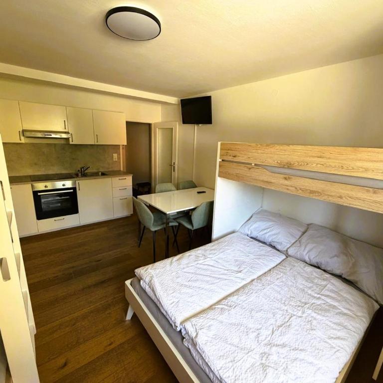AREIT-BASE Apartment ' Zell am See ' Zwischen Berg & See - Apartment mit 1 Schlafzimmer - 1