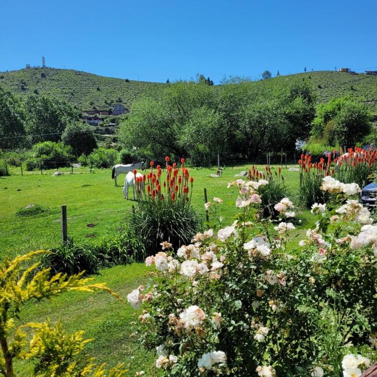 Hermosa casa en la ovejeria Tafí del Valle - Casa de 3 dormitorios - 10