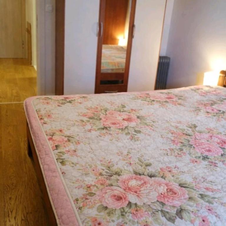 Sapinas - Apartman sa 1 Spavaćom Sobom - 6