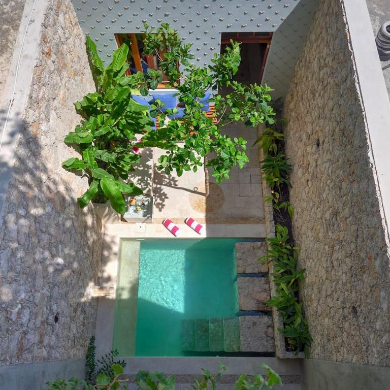 Award-winning Casa El Nido in Santa Lucia - Vacation Home - 25
