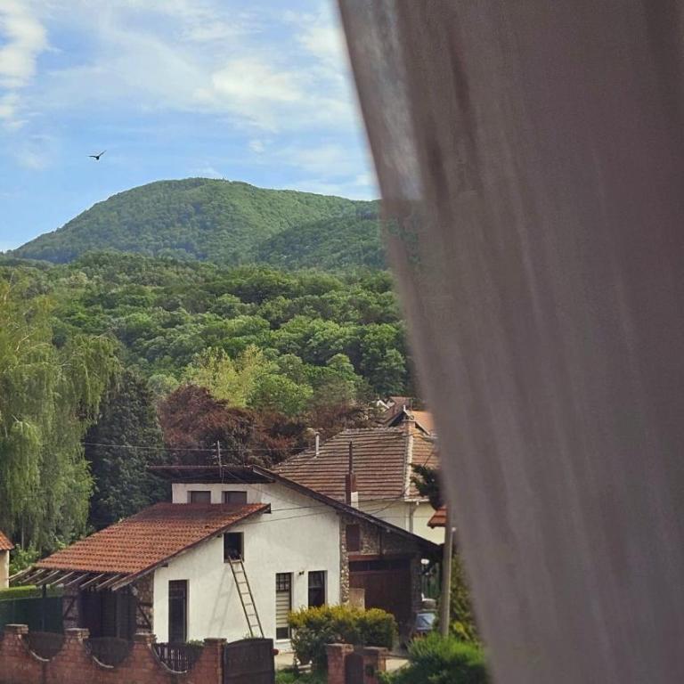 Royal Apartman - Apartman sa 1 Spavaćom Sobom - 23