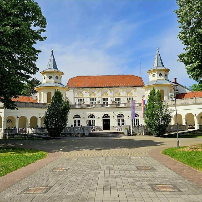 Royal Apartman - Apartman sa 1 Spavaćom Sobom - 20