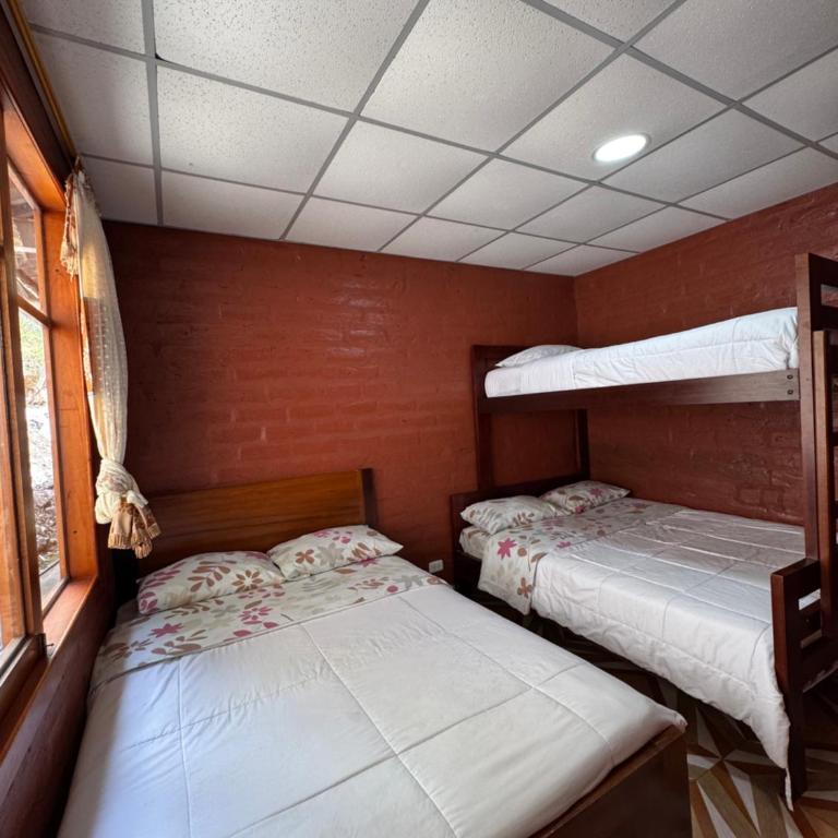 Playita Salomon - Family Room with Private Bathroom - 3