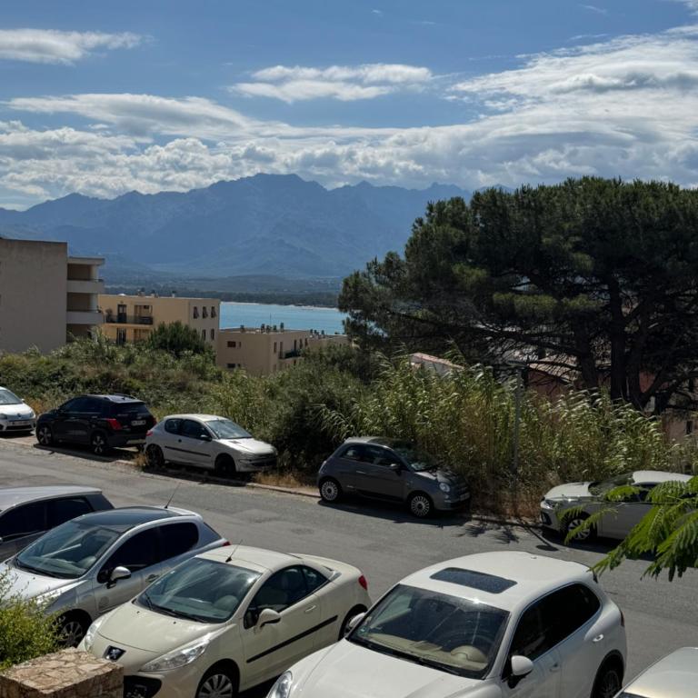 Calvi -T2 les Collines - One-Bedroom Apartment - 2