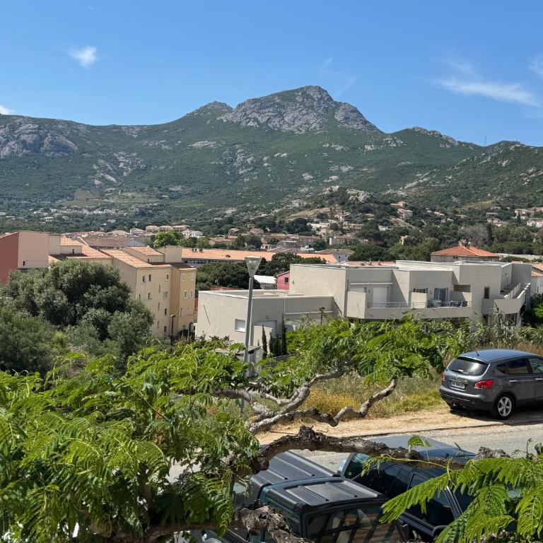 Calvi -T2 les Collines - One-Bedroom Apartment - 10