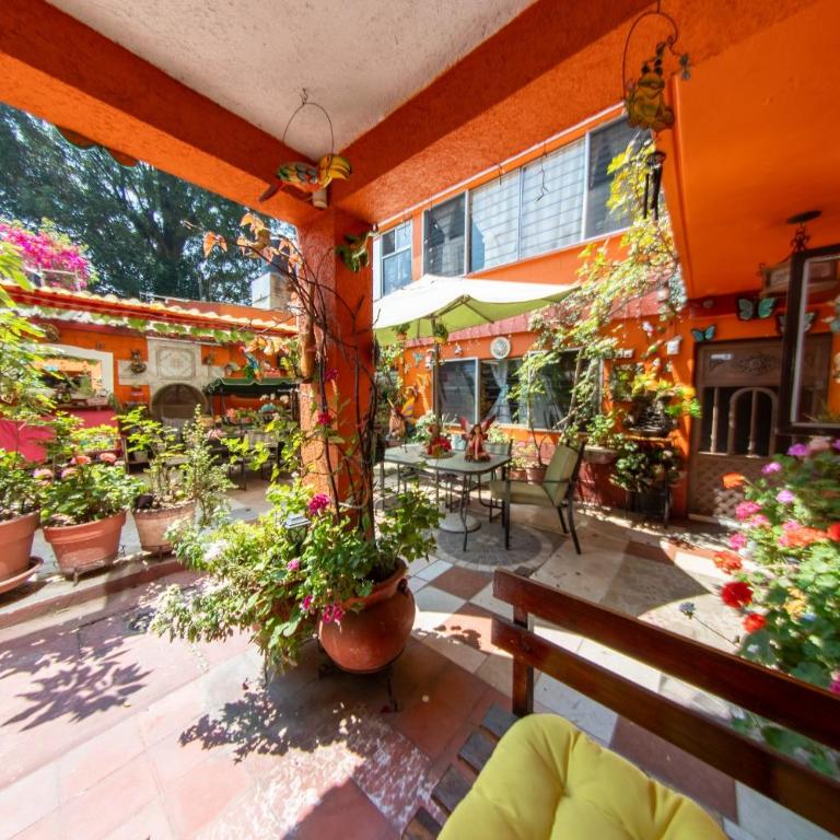 Harmony Coyoacan 1 o 2 o 3 habitaciones y 2 baños en el centro de Coyoacan - Three-Bedroom Apartment - 22