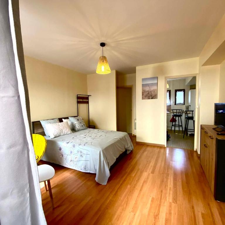 Vieux-Mans - Votre appart au cœur historique - Apartment mit 1 Schlafzimmer - 2