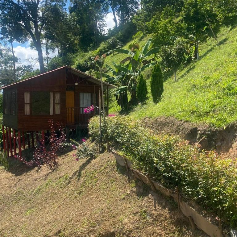 Finca Ecoturistica VillaManuela - Casa Unifamiliar de 2 dormitorios - 4