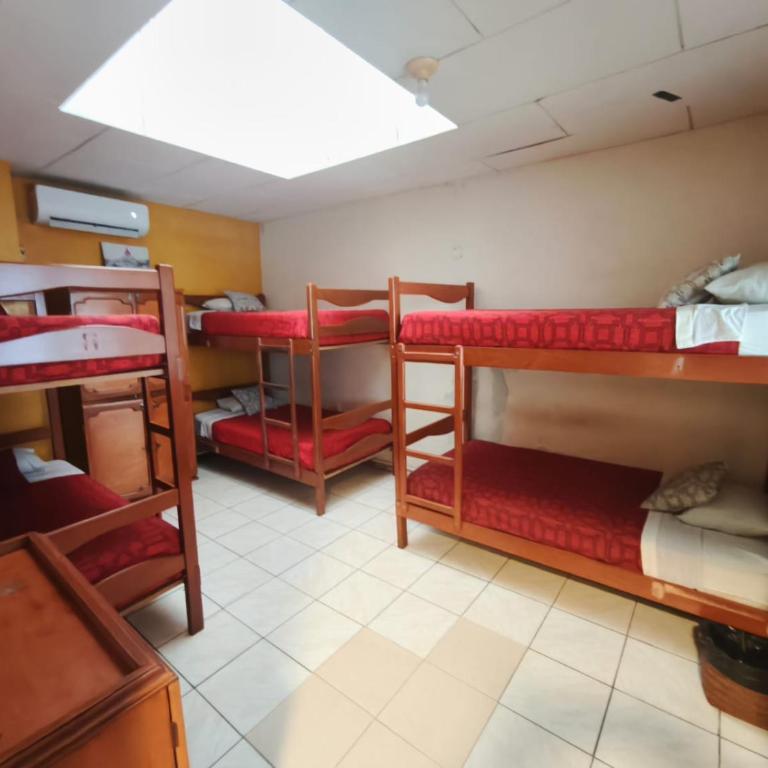 Flying Dog Hostel Iquitos - Bed in 6-Bed Dormitory Room - 4