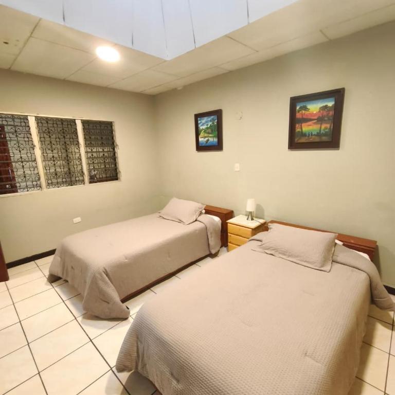 Flying Dog Hostel Iquitos - Twin Room with Shared Bathroom - 3