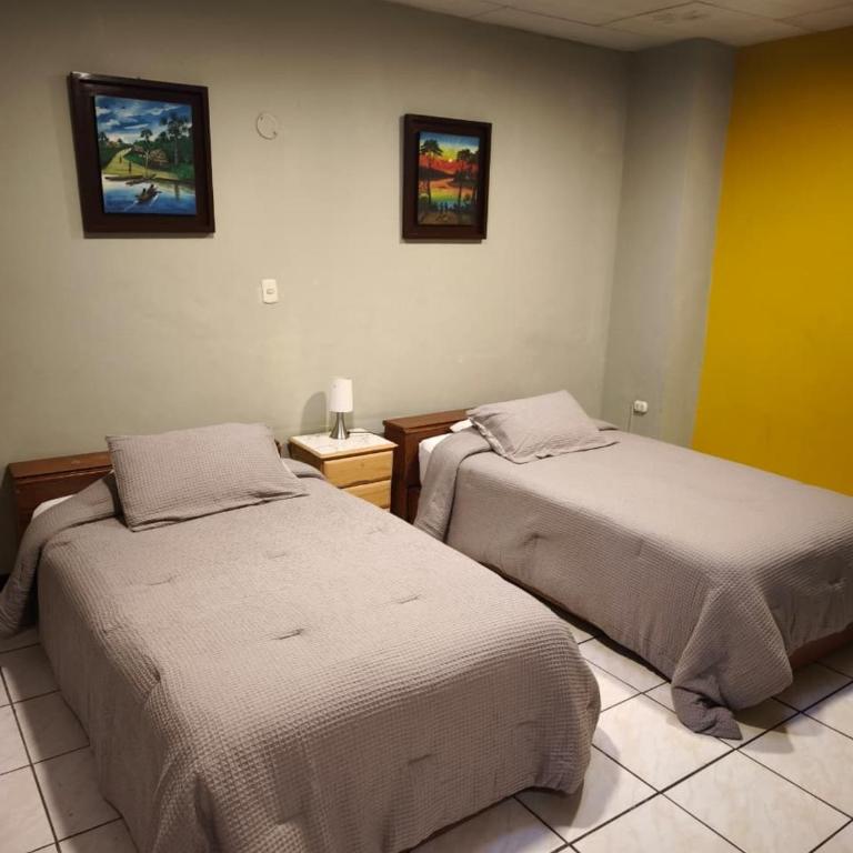 Flying Dog Hostel Iquitos - Twin Room with Shared Bathroom - 5