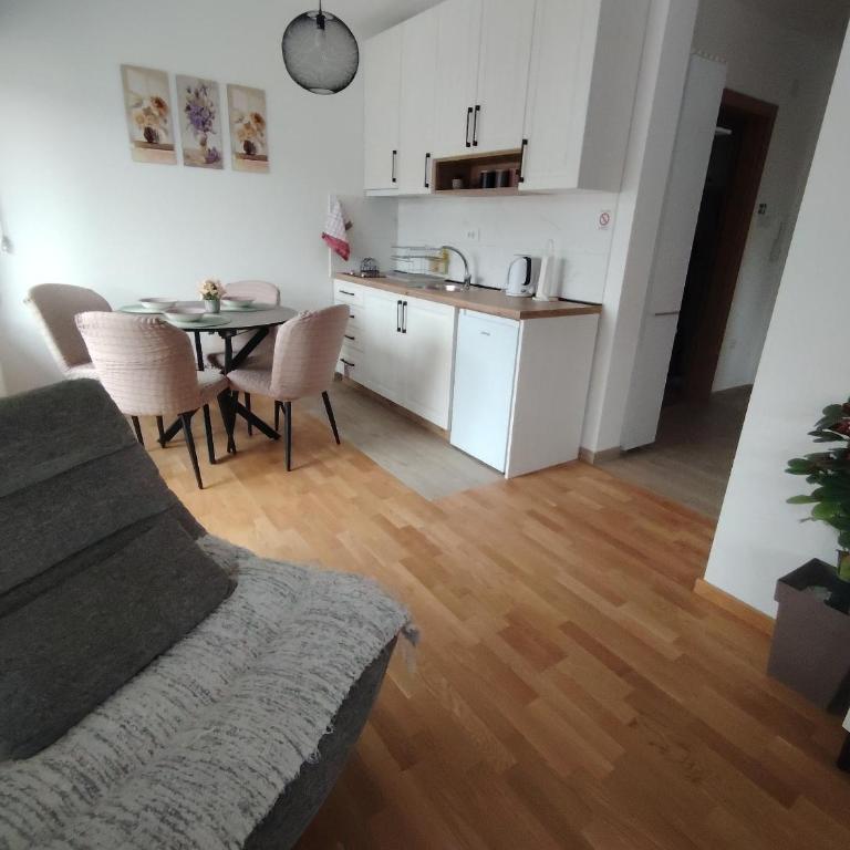 Jefimija Apartman Sokobanja - Apartman sa 1 Spavaćom Sobom - 9