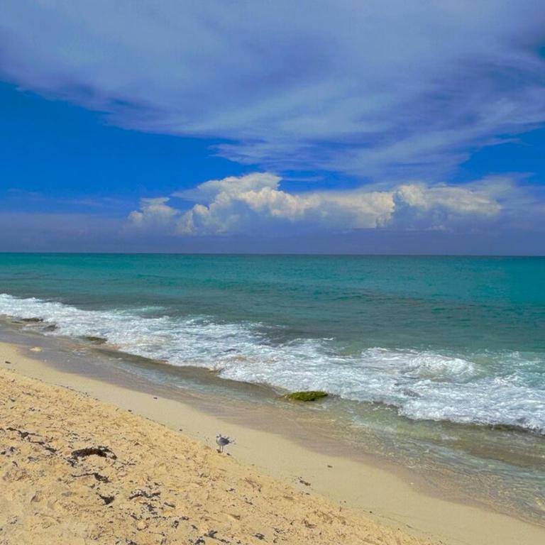 Beautiful Maya Studio on Cancun Beach - One-Bedroom Apartment - 20