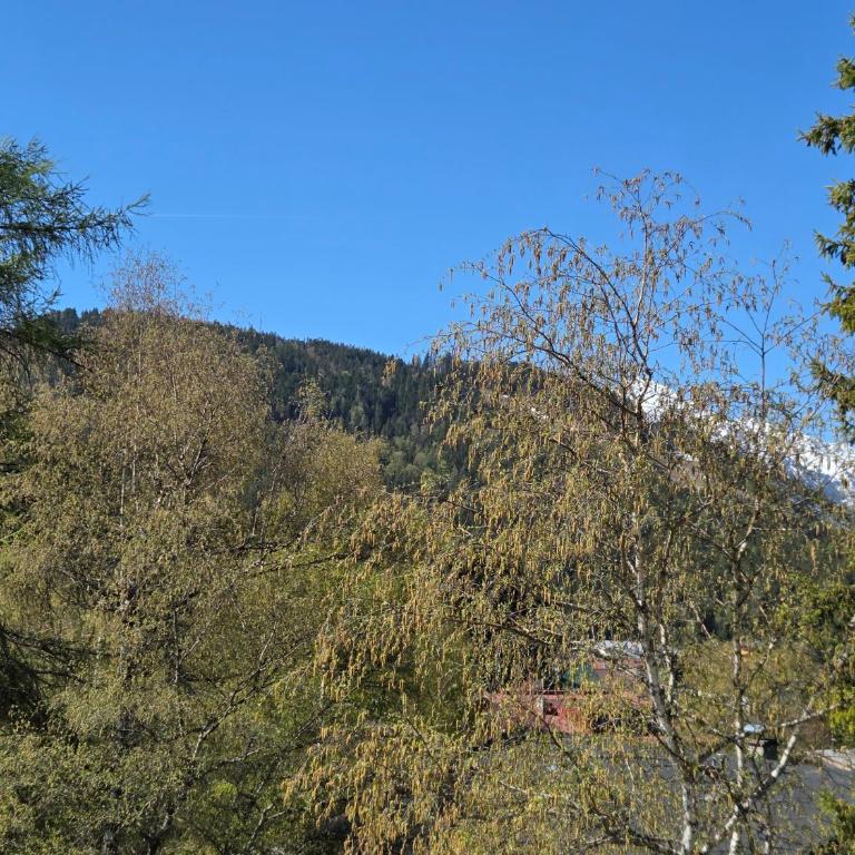 Suite Panoramablick Seefeld - Suite - 11