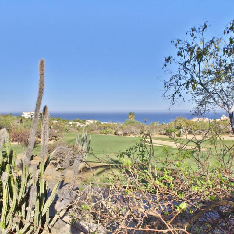 Casa Tortuga - Vacation Home - 29