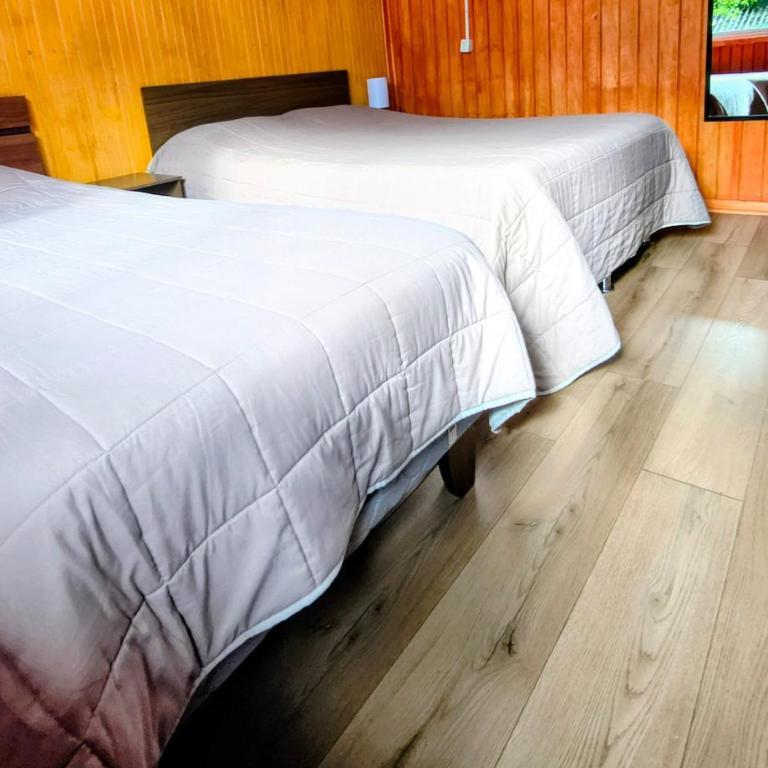 Hostel Notro Valdivia - Habitación Triple Básica - 2