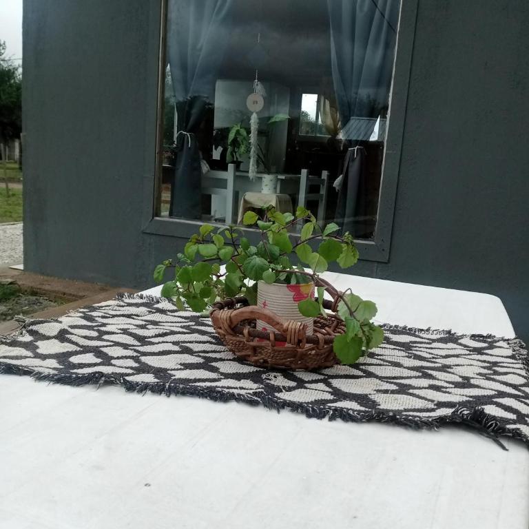 Cabañas Sierra Serena - Apartamento de 1 dormitorio - 11