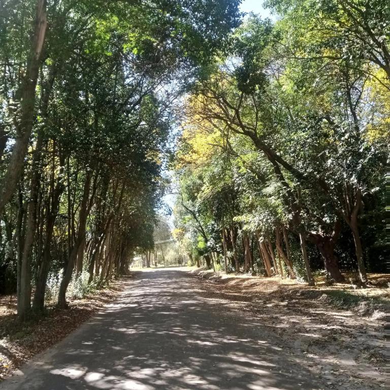 Cabañas Sierra Serena - Apartamento de 1 dormitorio - 14