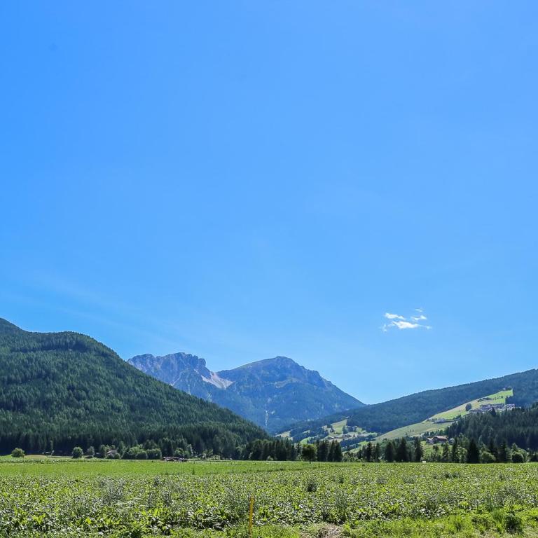 Lerchnhof - Appartamento con 2 Camere da Letto - 10