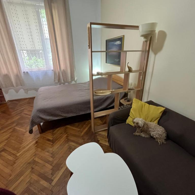 Skadarlija - Apartman sa 1 Spavaćom Sobom - 1