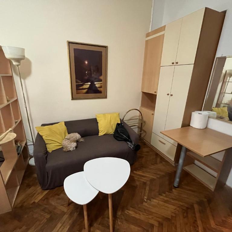 Skadarlija - Apartman sa 1 Spavaćom Sobom - 2