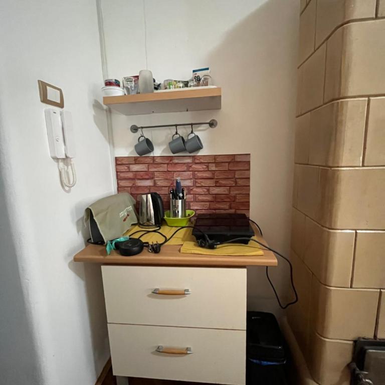 Skadarlija - Apartman sa 1 Spavaćom Sobom - 3