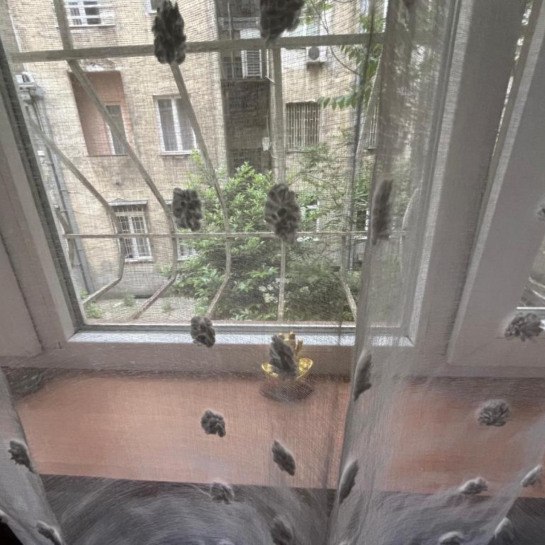 Skadarlija - Apartman sa 1 Spavaćom Sobom - 6