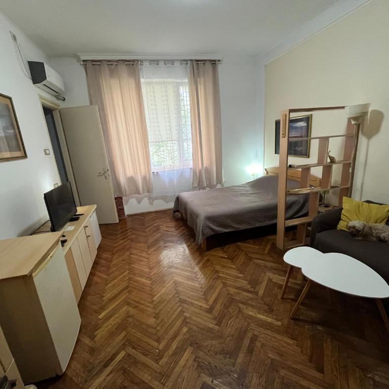 Skadarlija - Apartman sa 1 Spavaćom Sobom - 9