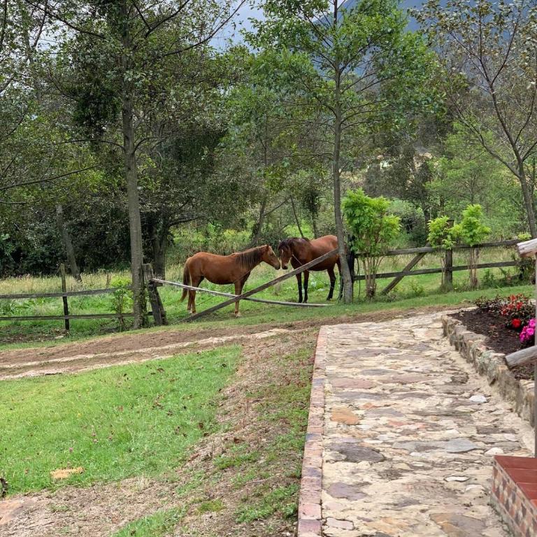 Finca VillaMaria - Casa de 3 dormitorios - 7