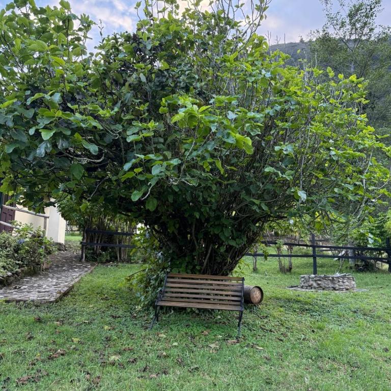 Finca VillaMaria - Casa de 3 dormitorios - 33