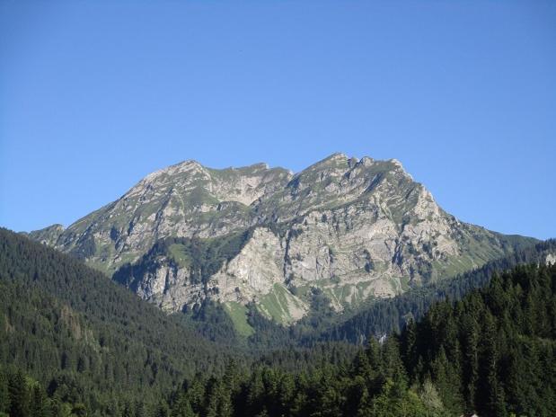 Le montagnard - Appartement 1 Chambre - 11