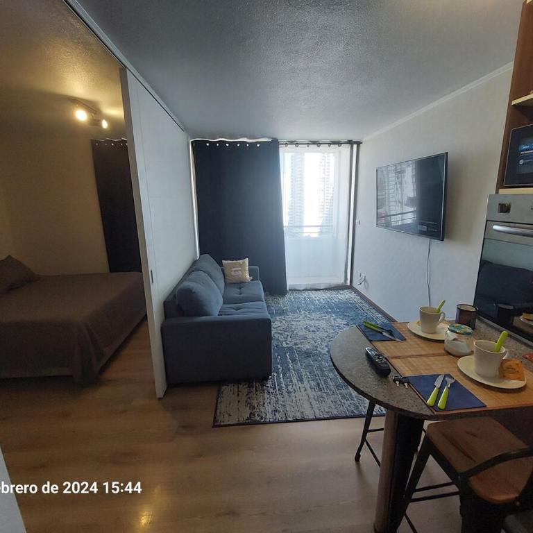 Rent apartment metro San Alberto Hurtado - One-Bedroom Apartment - 14