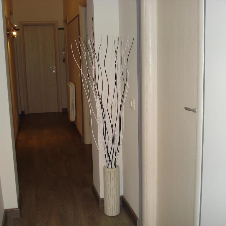Casa Vacanza Cleo - Vacation Home - 34