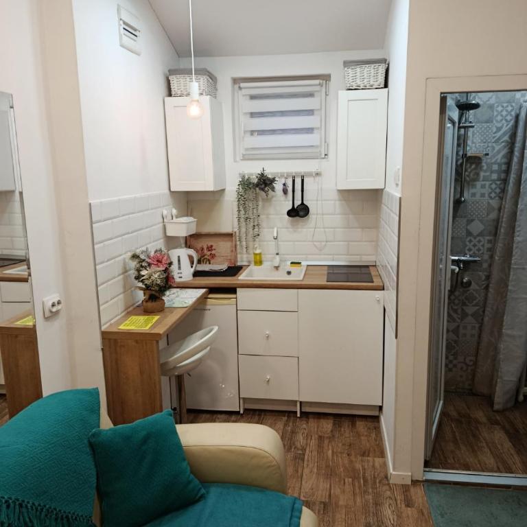 Ljubica - One-Bedroom Apartment - 8